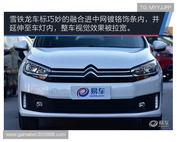 如何在365 bet中文平台上快速进行存款与提款操作的详细指南